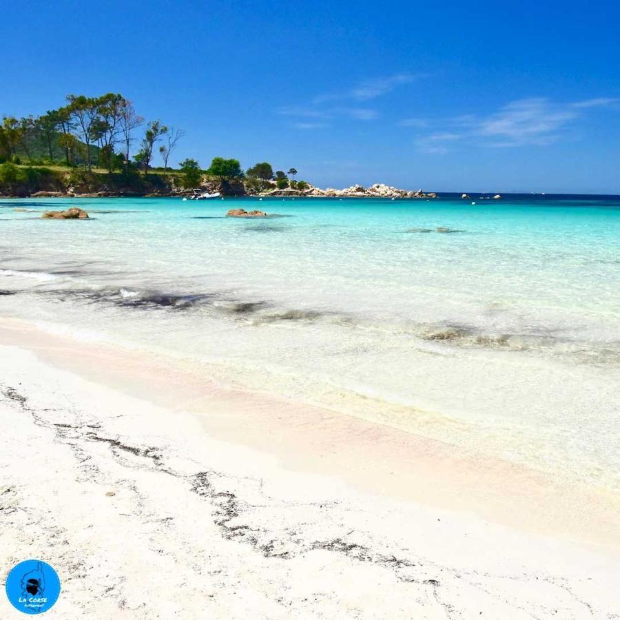 Joli Studio Maisonnette A 100M De La Plage Porticcio  Zewnętrze zdjęcie